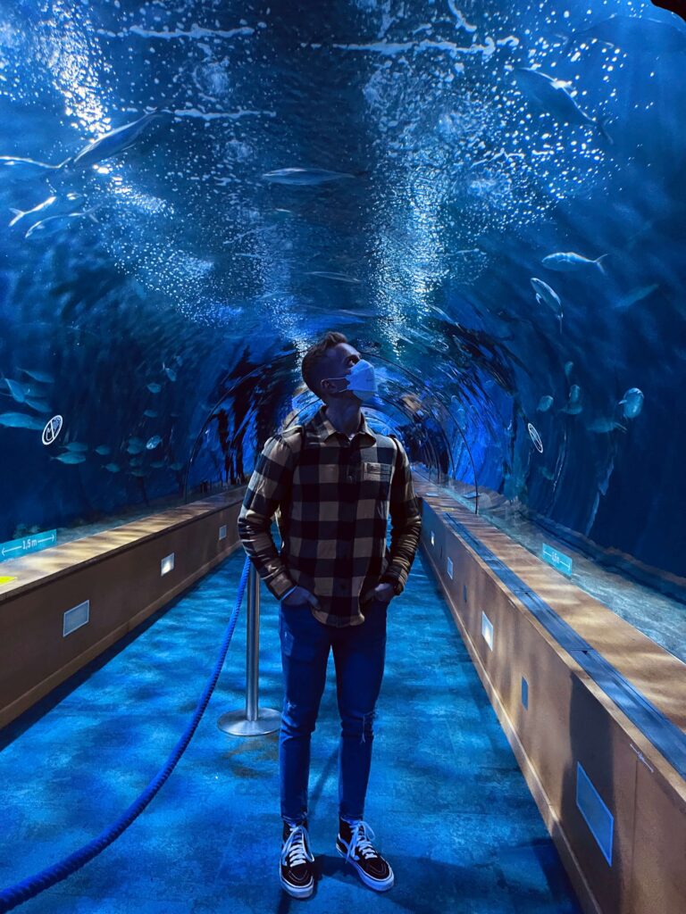 L'Oceanografic